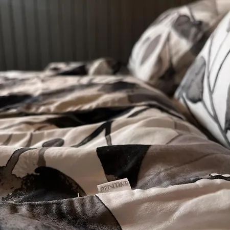 Semesterbostad Kotkanpesae Ylläs